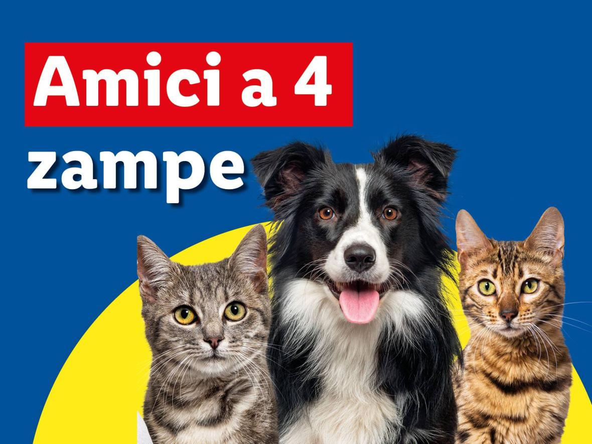 Speciale amici a 4 Zampe - Offerte valide da lun 23 giugno 2025