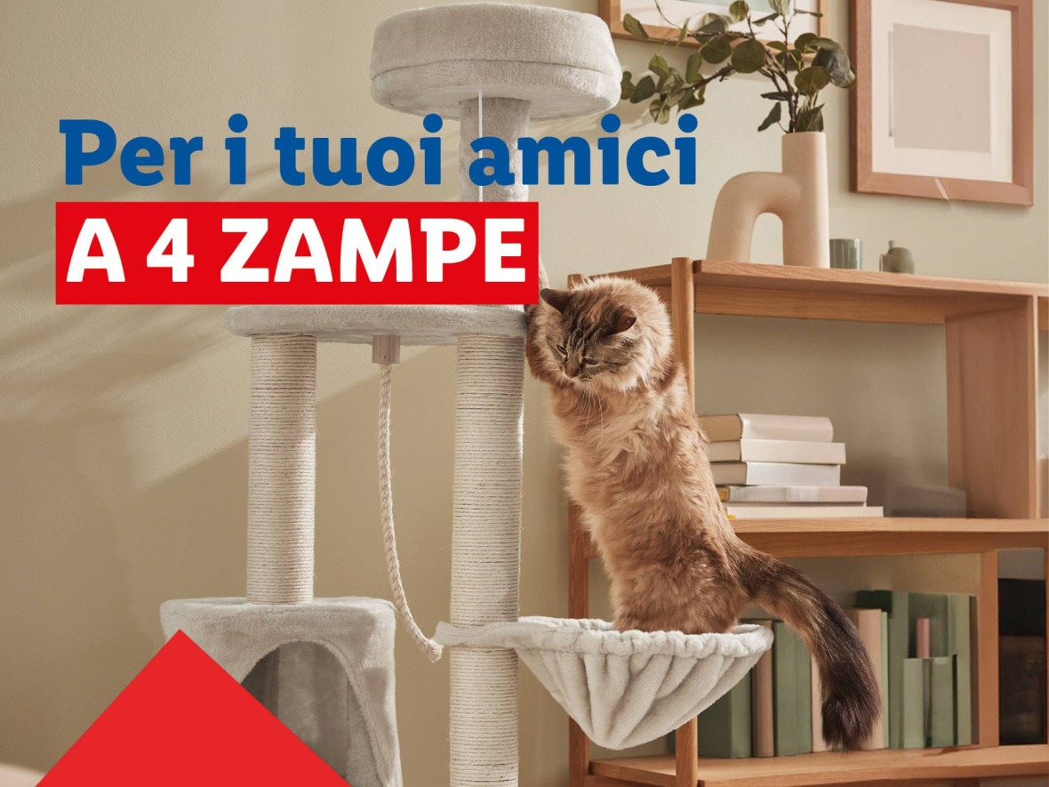 Per i tuoi amici a 4 zampe 🐱 - Offerte valide da gio 07 agosto 2025