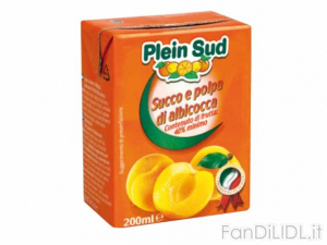 Plein Sud