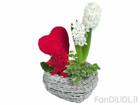 Composizione di (Fiori)