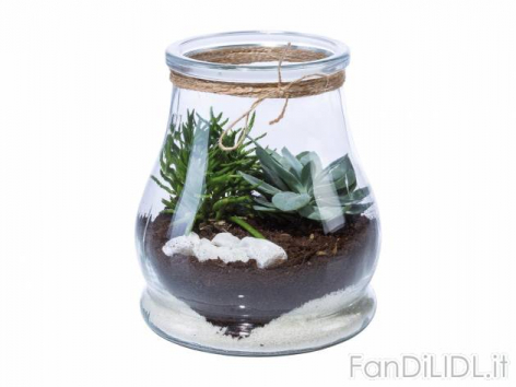 Succulente in vaso (Fiori)