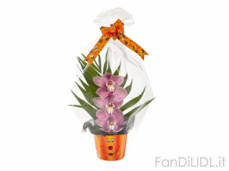 Cymbidium in vaso (Articoli per ufficio, cartacei, industriali)