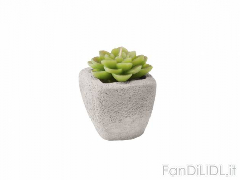 Candela cactus con (Giardino)