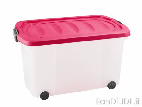 Contenitore con (Pulizia della casa, sistemazione)