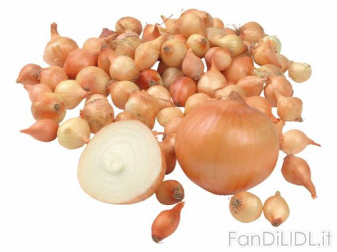 Cipolle da semina (Fiori)