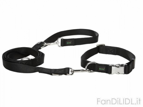 Set collare e guinzaglio (Animali domestici, cani, gatti)