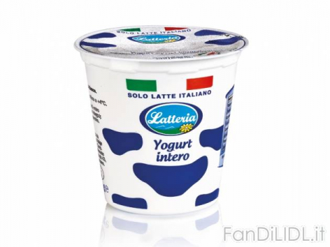 Yogurt bianco intero (Articoli alimentari)