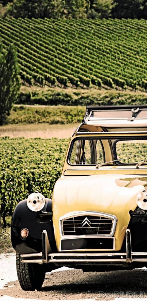 Gazetka Lidl strona 28 (Alcoolici)