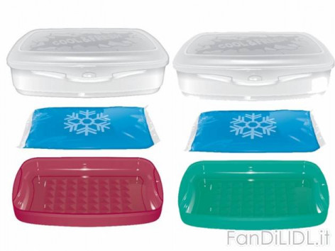 Contenitore icebox (Giardino)