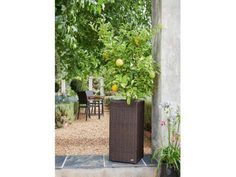 Vaso decorativo per piante, rettangolare o conico