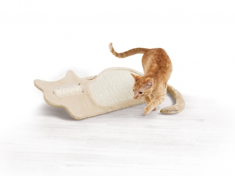 Tavoletta tiragraffi per gatti