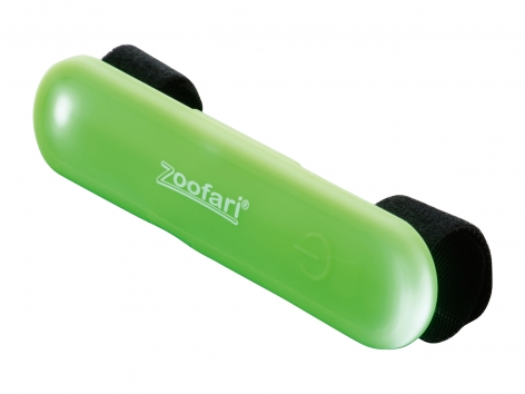 Giochi o accessori a LED per cani