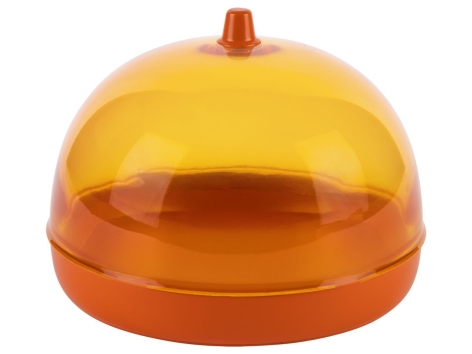 Contenitore per alimenti o utensile per avocado