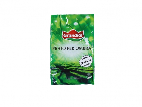 Sementi per prato ombreggiato