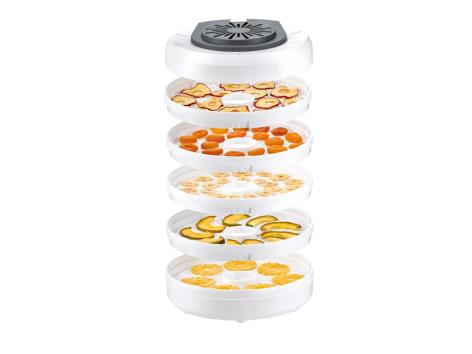 Essiccatore per alimenti