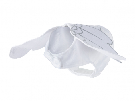 Costume natalizio per cani