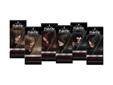 Palette