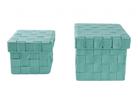 Box portaoggetti con coperchio