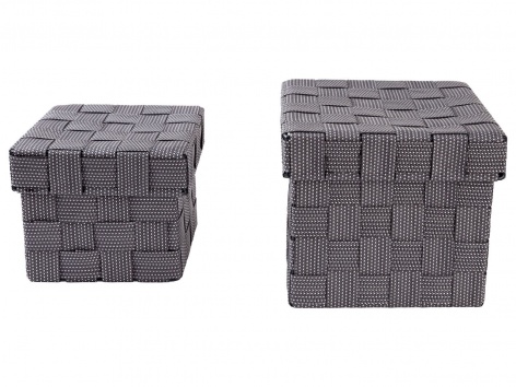 Box portaoggetti con coperchio