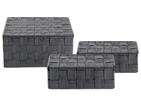 Box portaoggetti con coperchio