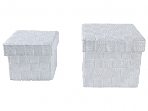 Box portaoggetti con coperchio