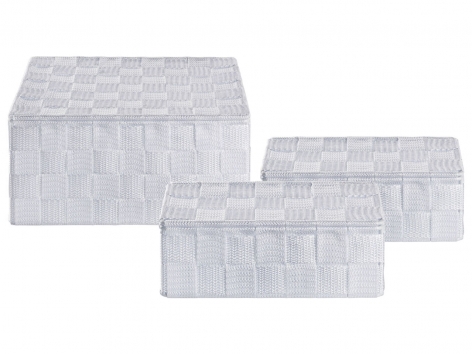 Box portaoggetti con coperchio