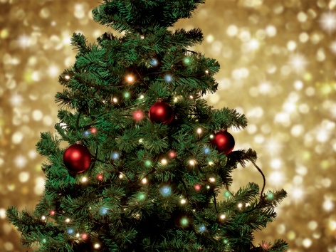 Catena luminosa 50 LED