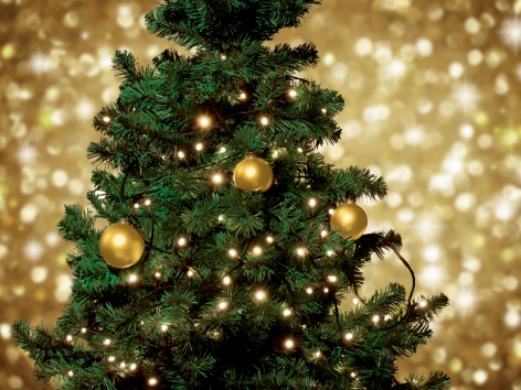 Catena luminosa 50 LED