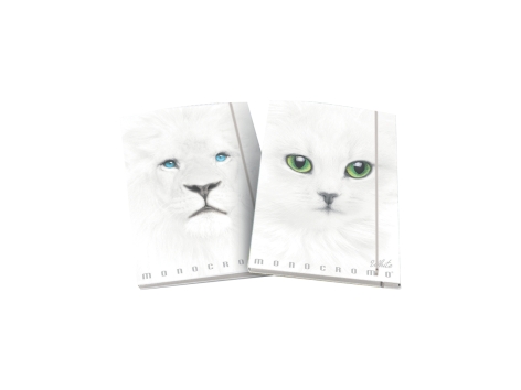 Cartelle 3 lembi Black & White