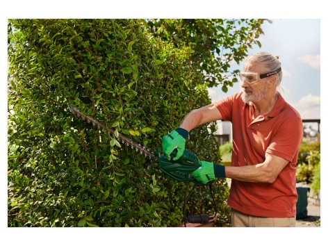 Tagliasiepi elettrico