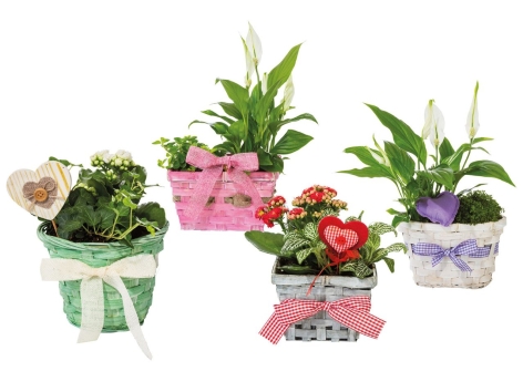 Composizioni floreali