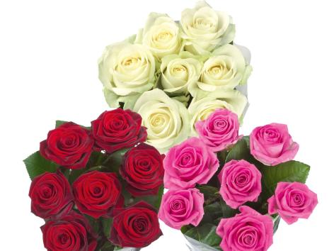 Mazzo di rose XXL