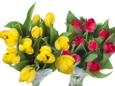 Mazzo di tulipani