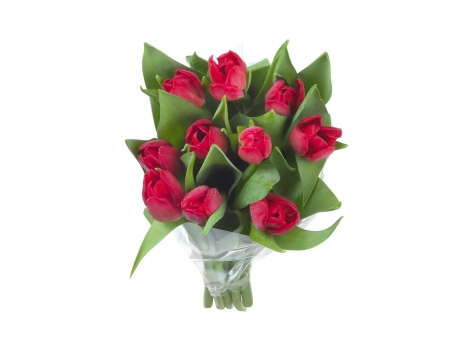 Mazzo di tulipani