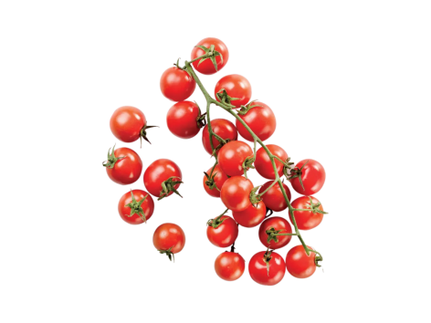 Pomodori ciliegino