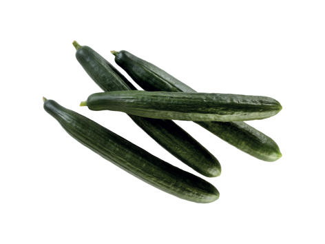 Cetrioli Olandesi