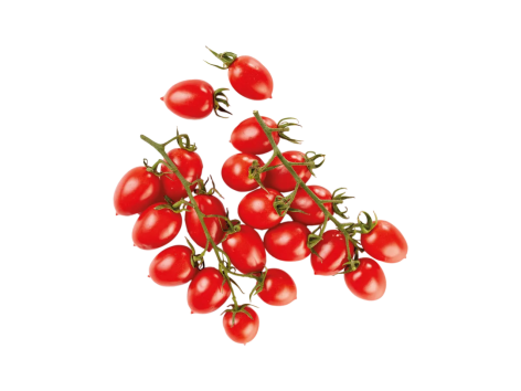 Pomodoro Piccadilly