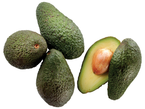 Avocado