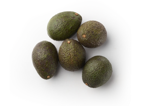 Avocado