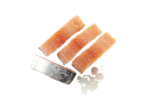 Filetto di salmone con pelle