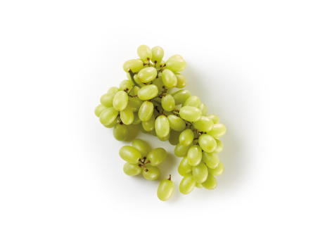Uva Bianca
