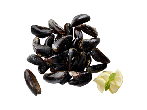 Cozze