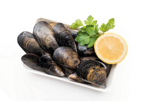 Cozze