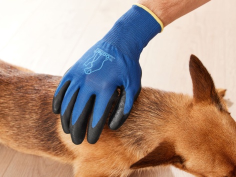 Guanto spazzola per animali