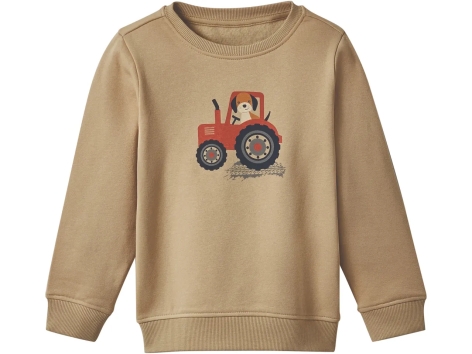 Felpa da bambino
