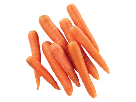 Carote XXL