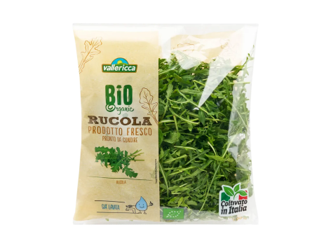 Rucola bio
