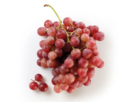 Uva Red Globe