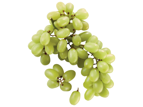 Uva bianca senza semi