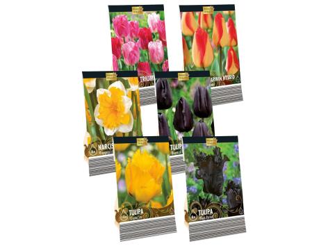 Plant In A Box - Crocus White - Bulbi Da Fiore X30 - Croco - Foto 3